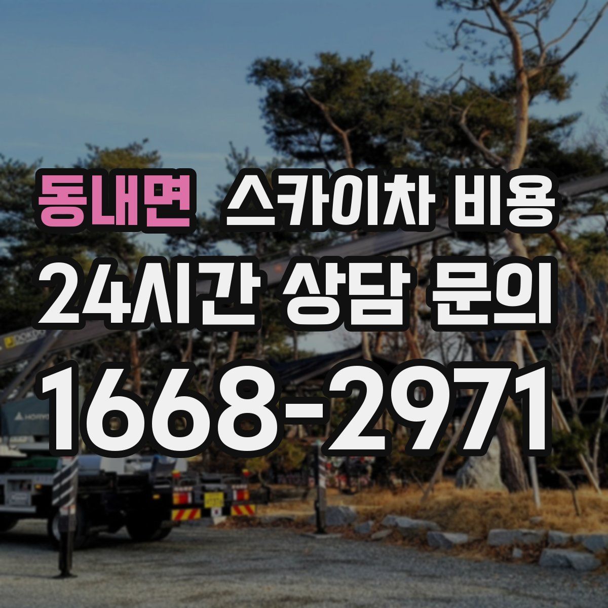 동내면 스카이차 비용