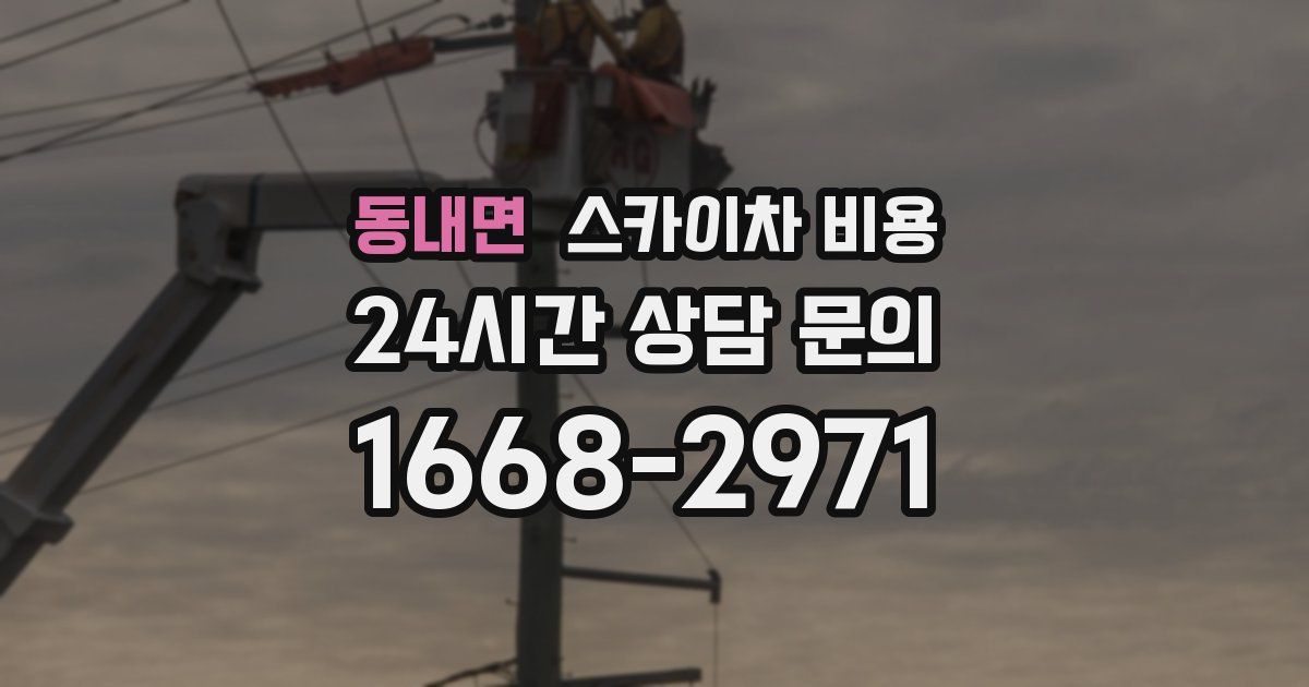 동내면 스카이차 비용