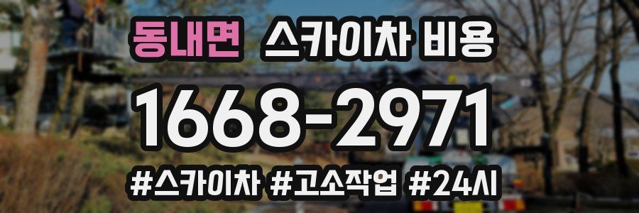 동내면 스카이차 비용