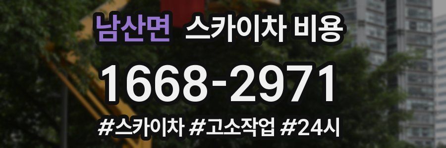 남산면 스카이차 비용