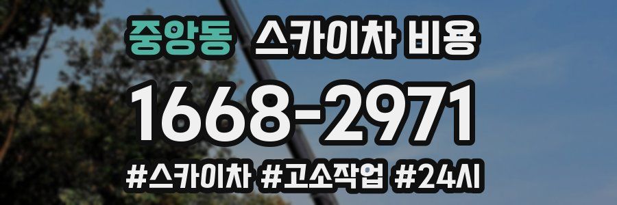 중앙동 스카이차 비용