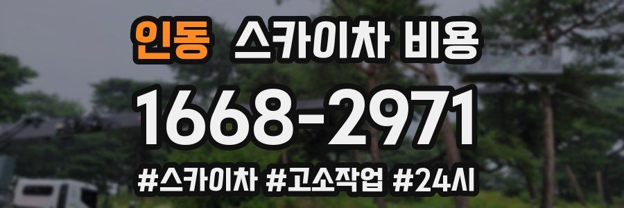 인동 스카이차 비용