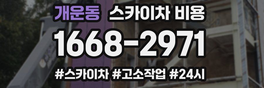 개운동 스카이차 비용