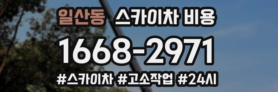 일산동 스카이차 비용
