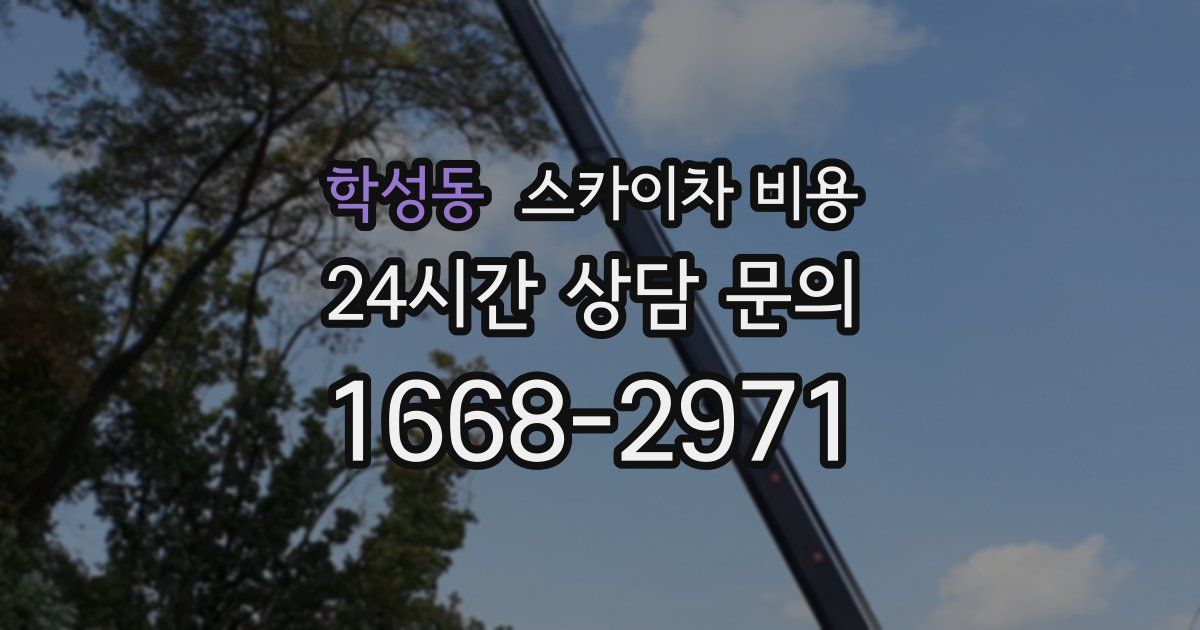 학성동 스카이차 비용