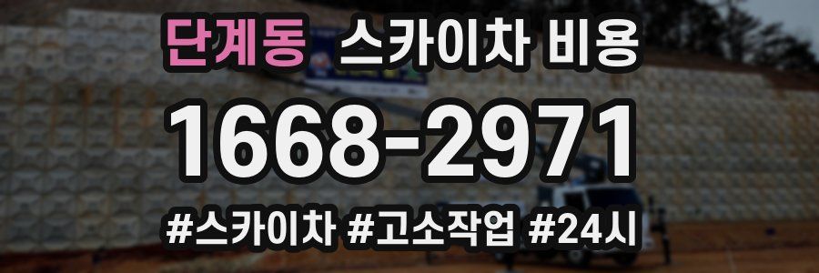 단계동 스카이차 비용