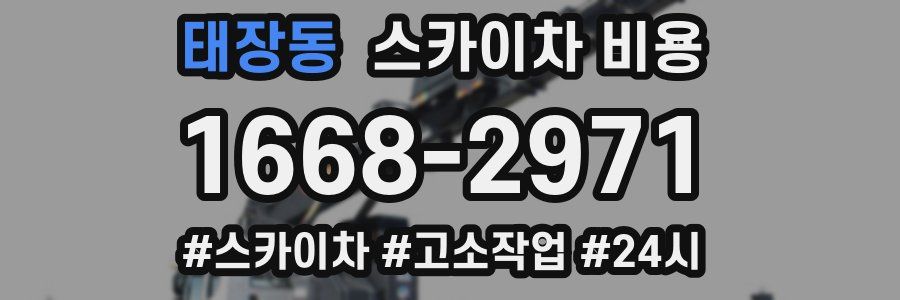 태장동 스카이차 비용