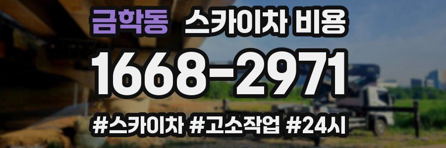 금학동 스카이차 비용