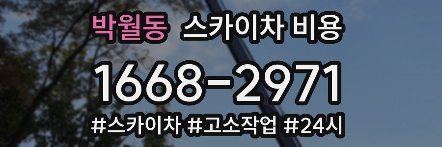 박월동 스카이차 비용