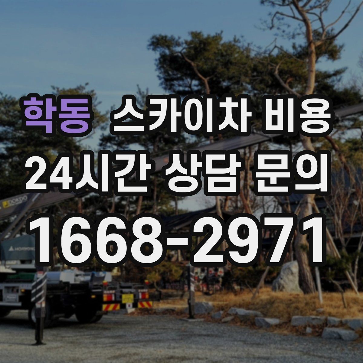 학동 스카이차 비용 전선이 낮게 지나가는 구간 작업 체크