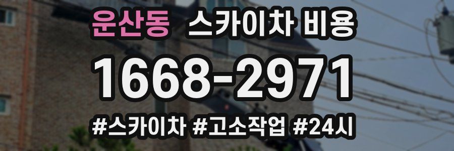 운산동 스카이차 비용