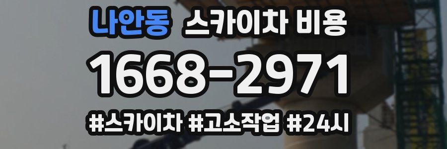 나안동 스카이차 비용