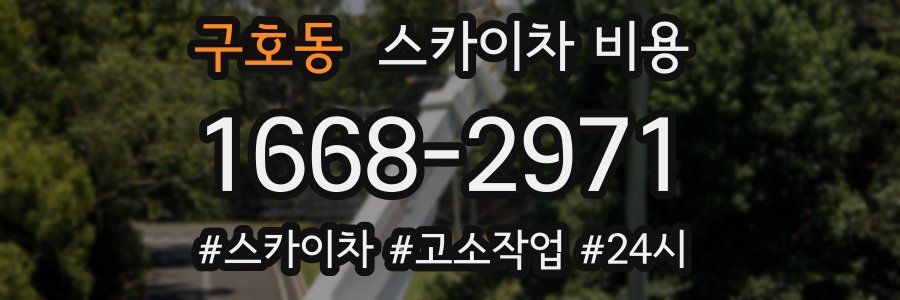 구호동 스카이차 비용