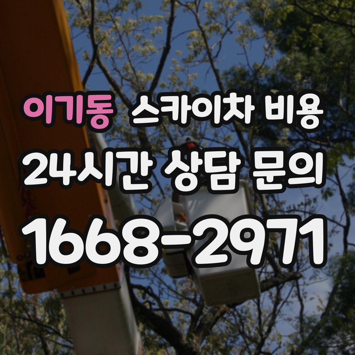 이기동 스카이차 비용