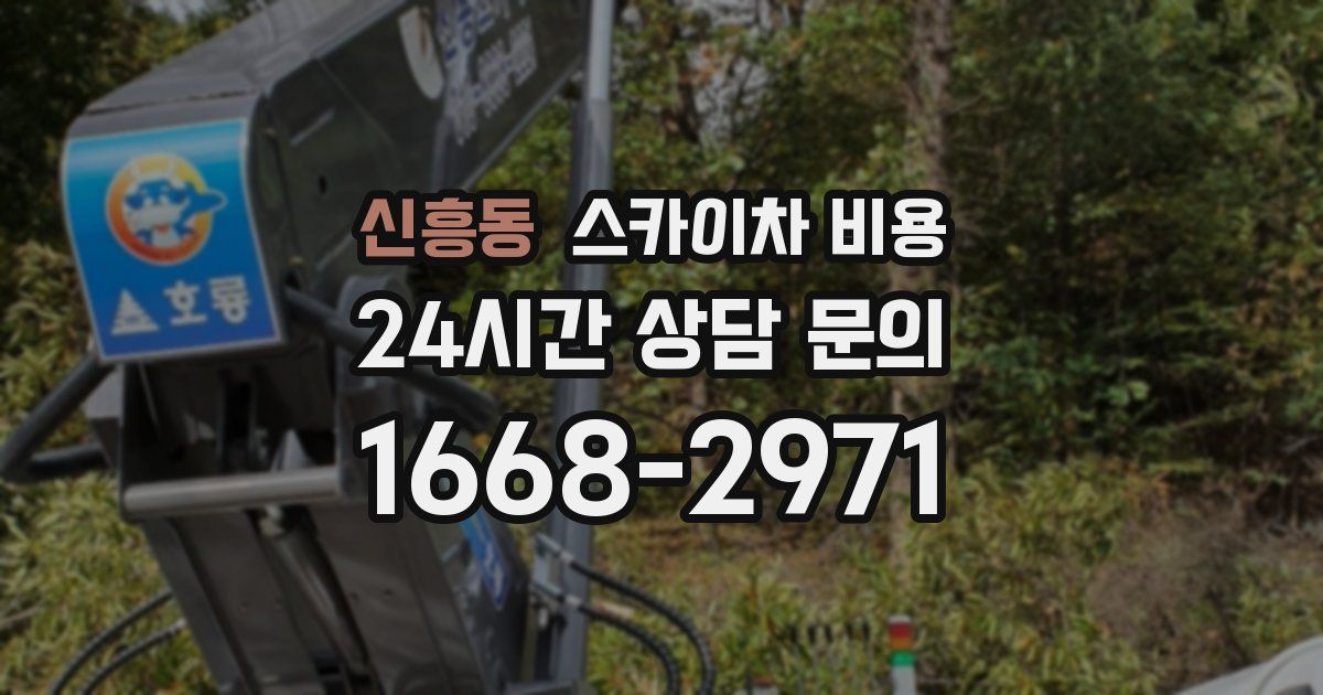 신흥동 스카이차 비용