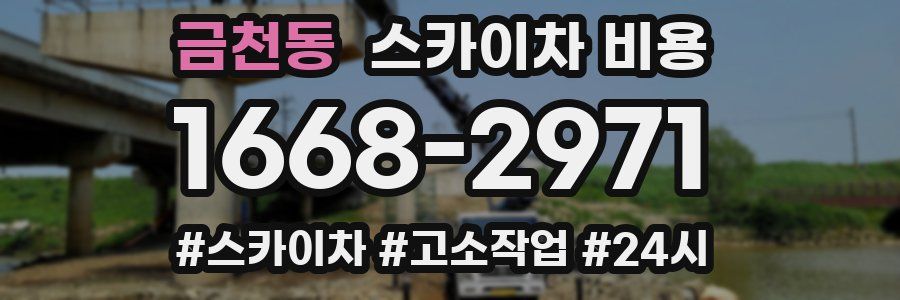금천동 스카이차 비용
