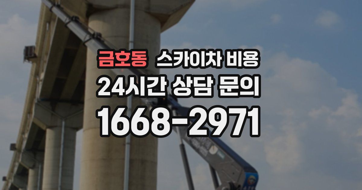 금호동 스카이차 비용