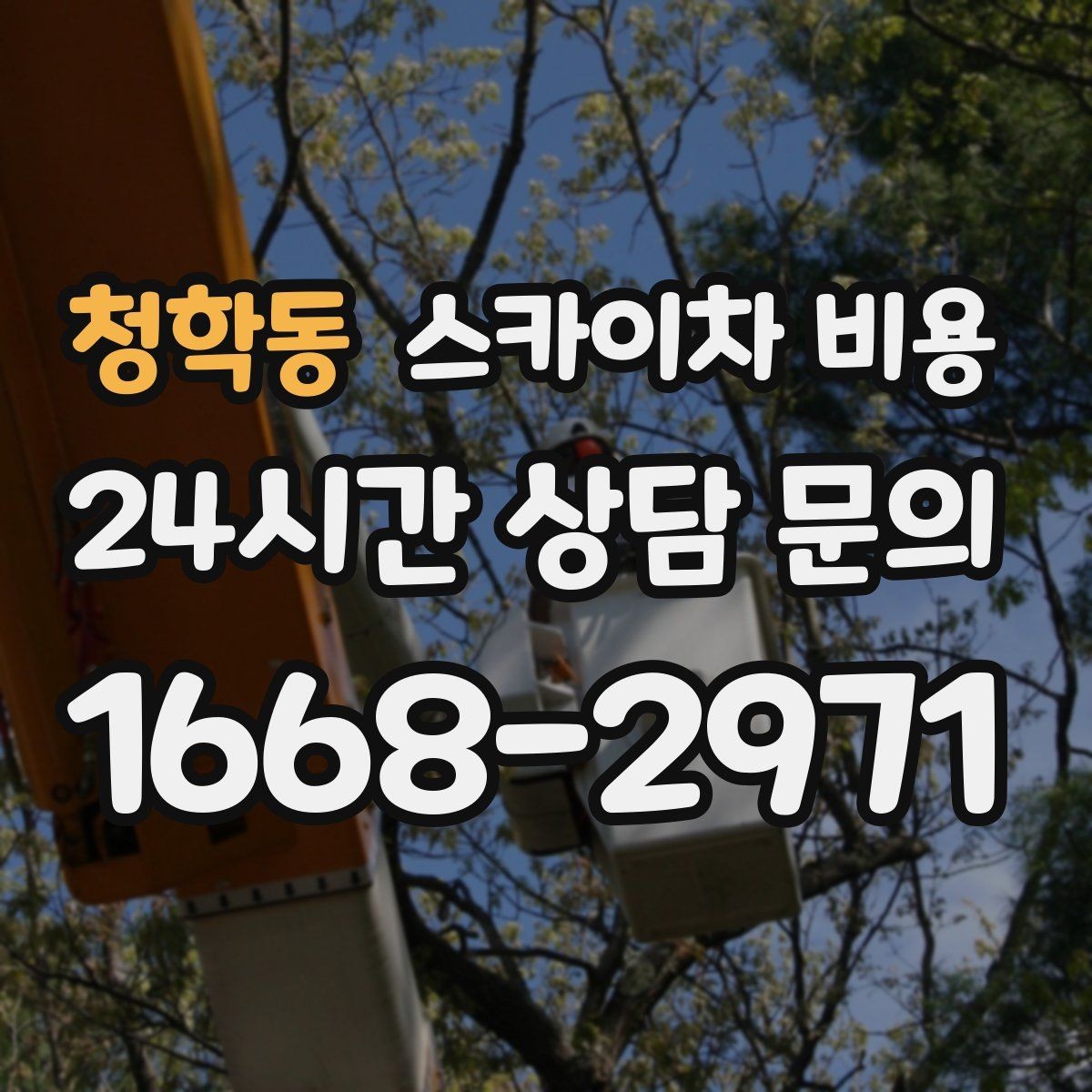 청학동 스카이차 비용 장비 제원에 따라 달라질 수 있는 부분