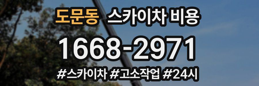 도문동 스카이차 비용