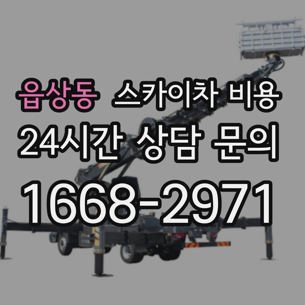 읍상동 스카이차 비용 나무 전지 작업은 가지 위치가 변수가 됩니다