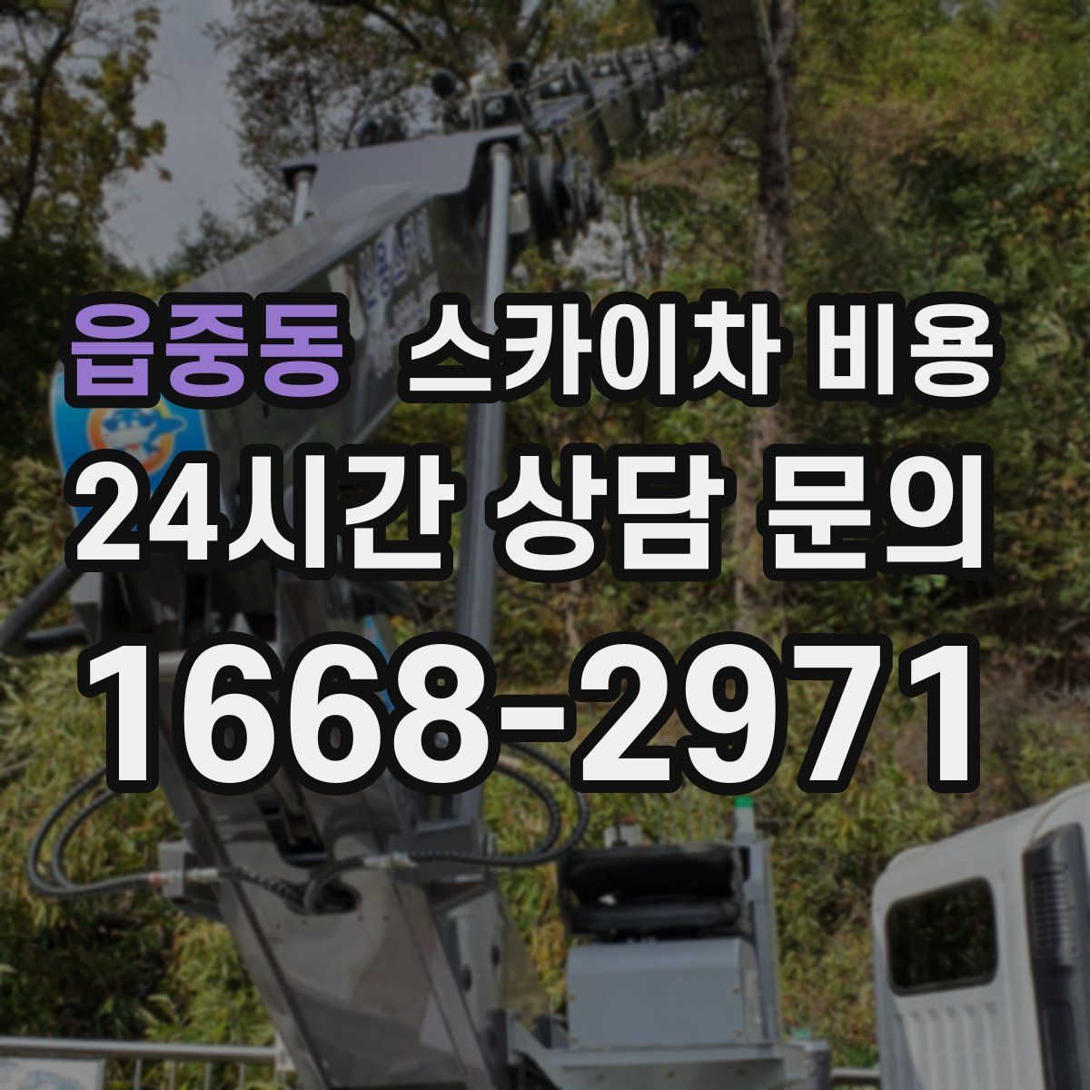 읍중동 스카이차 비용