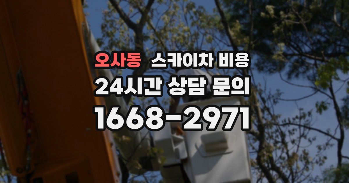 오사동 스카이차 비용