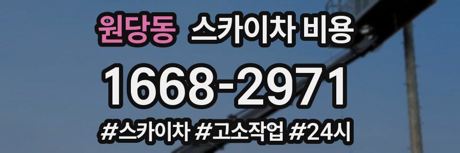 원당동 스카이차 비용