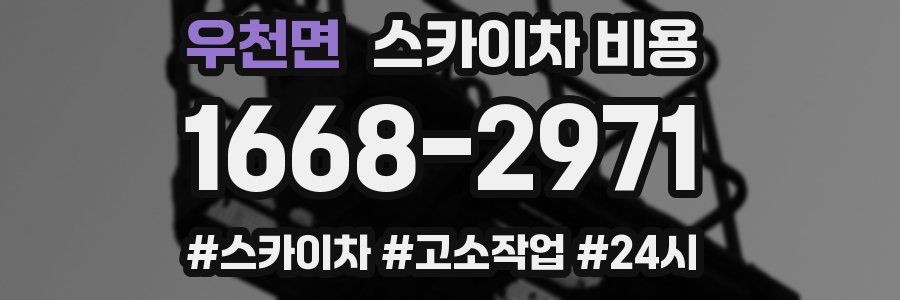 우천면 스카이차 비용