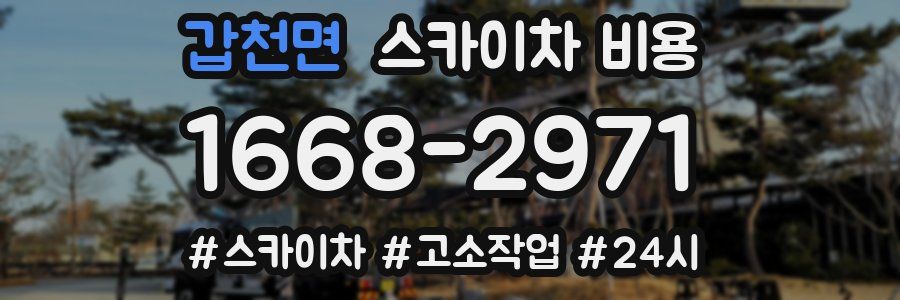 갑천면 스카이차 비용