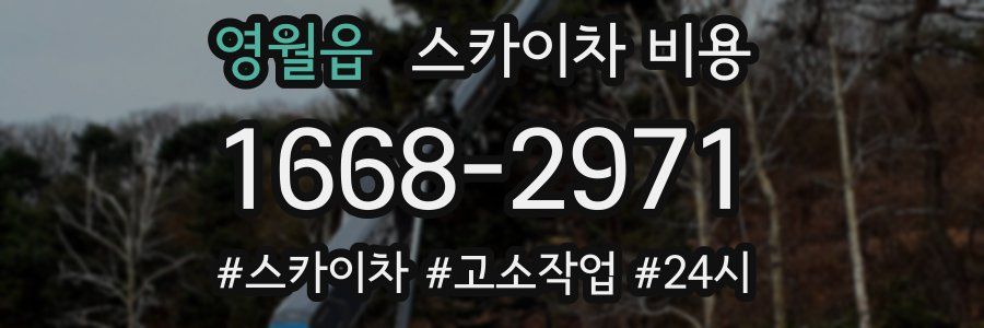 영월읍 스카이차 비용