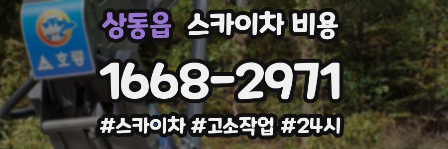 상동읍 스카이차 비용