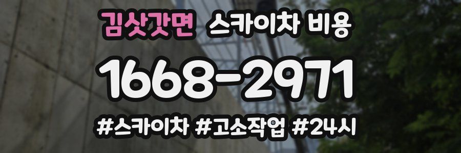 김삿갓면 스카이차 비용