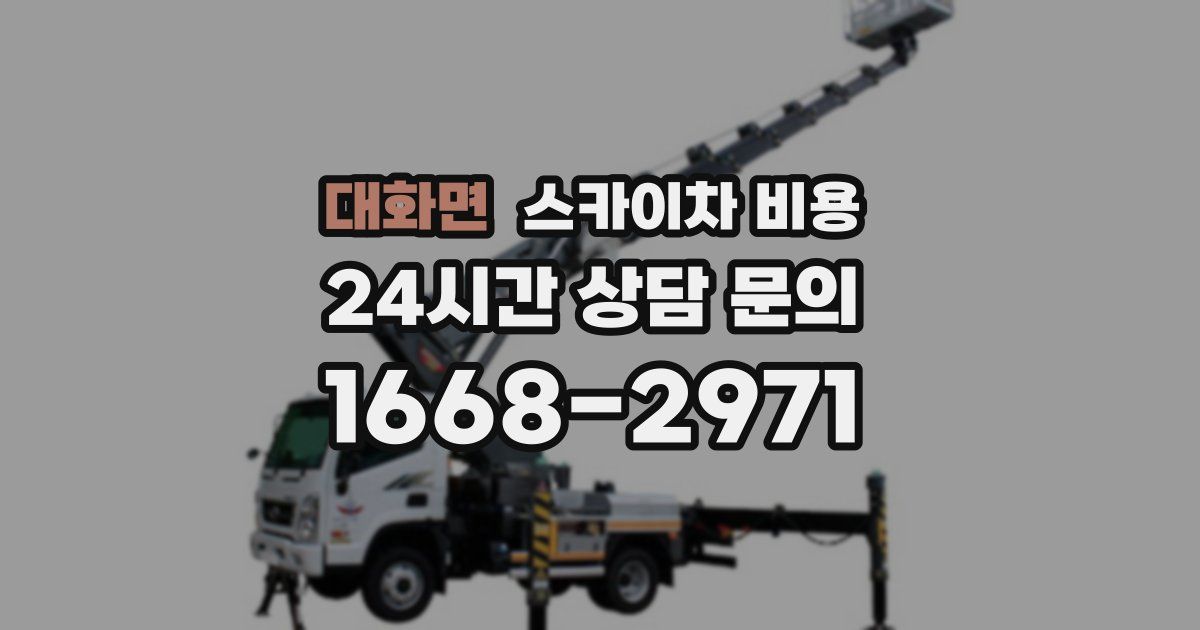 대화면 스카이차 비용