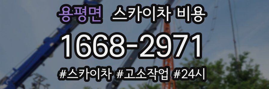 용평면 스카이차 비용