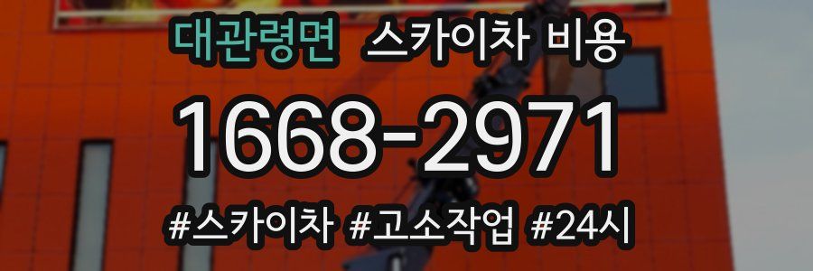 대관령면 스카이차 비용