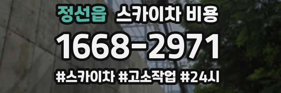 정선읍 스카이차 비용