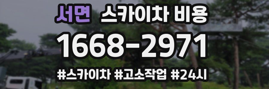 서면 스카이차 비용