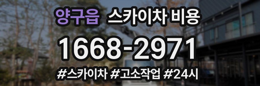 양구읍 스카이차 비용