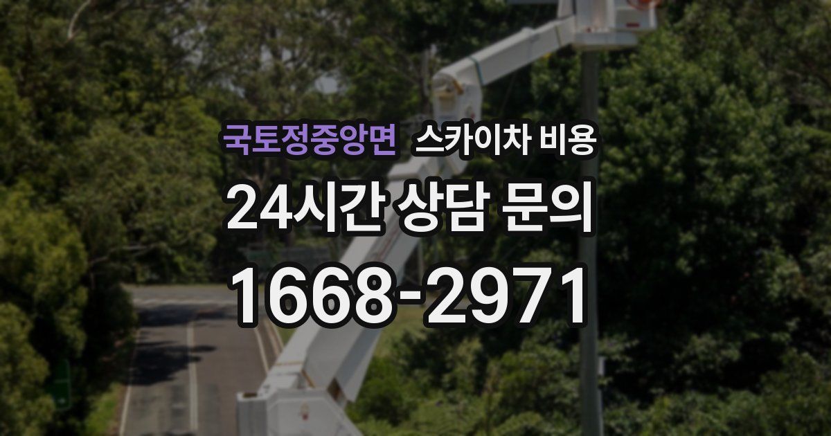 국토정중앙면 스카이차 비용