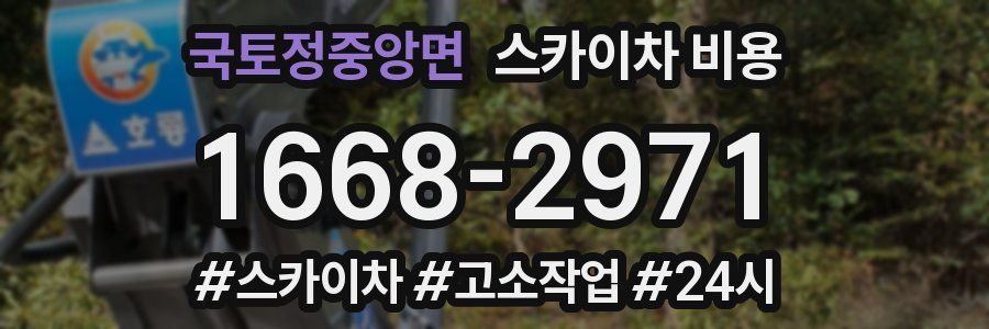 국토정중앙면 스카이차 비용