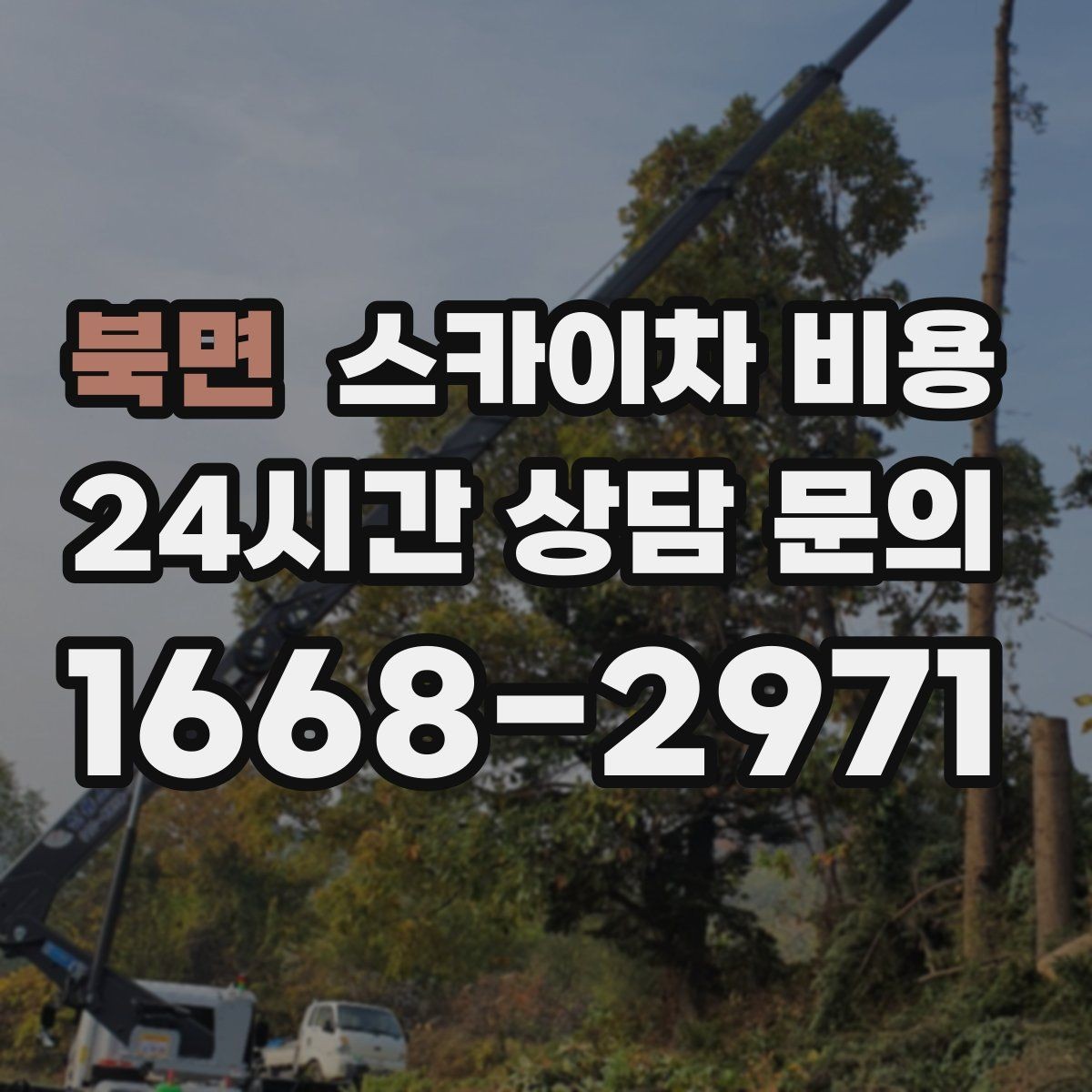북면 스카이차 비용 몇 미터 작업인지 모를 때 확인 방법