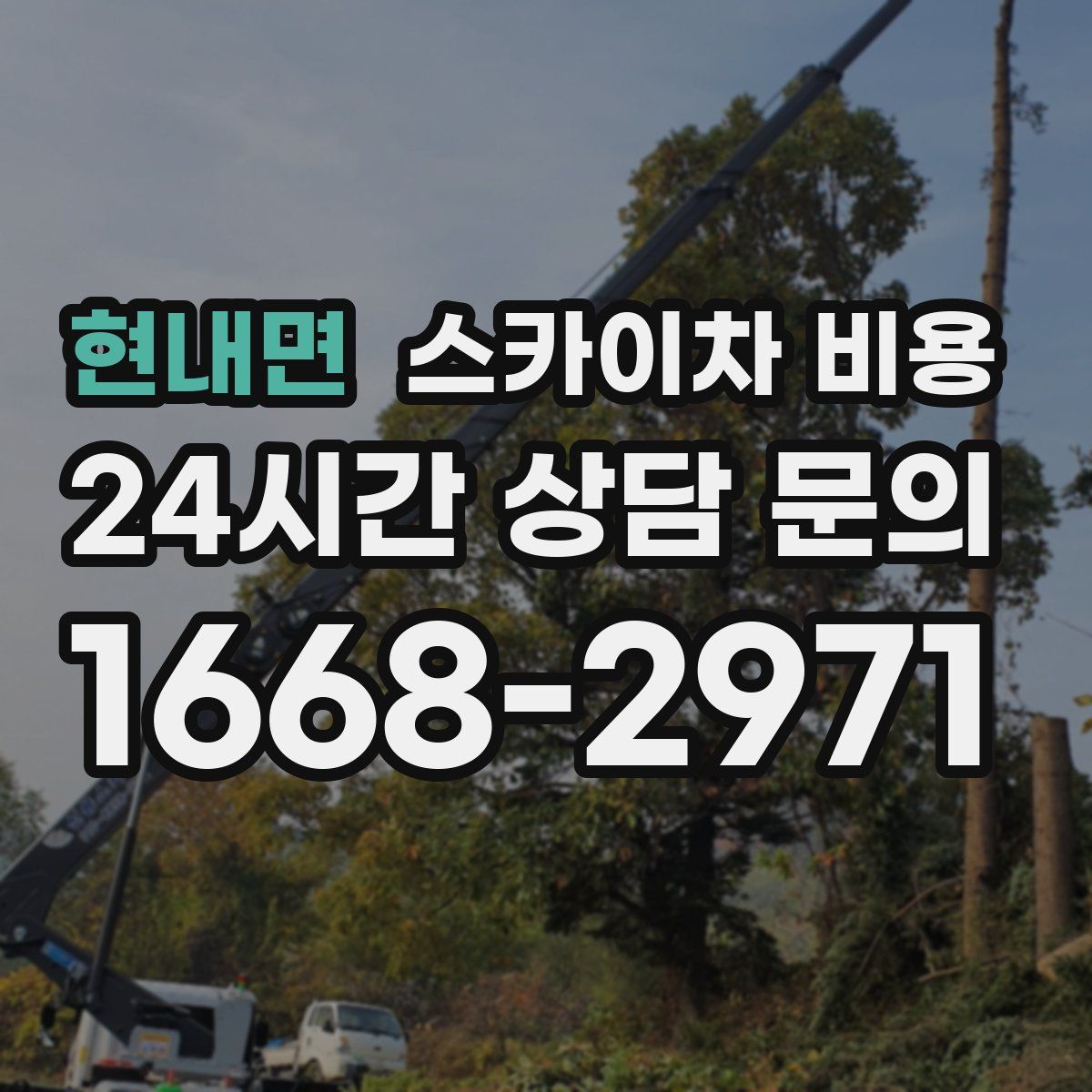 현내면 스카이차 비용