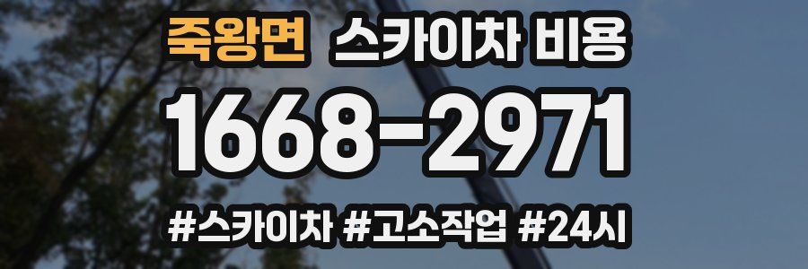 죽왕면 스카이차 비용