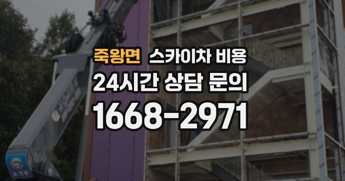 죽왕면 스카이차 비용