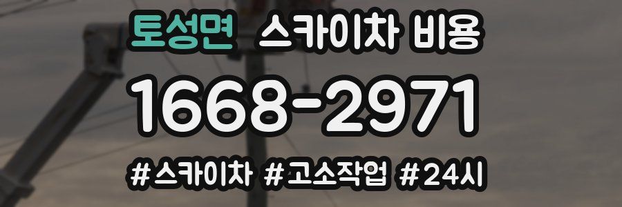 토성면 스카이차 비용