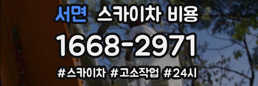 서면 스카이차 비용