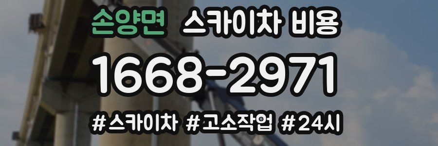 손양면 스카이차 비용