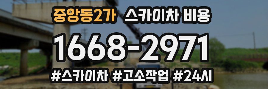 중앙동2가 스카이차 비용