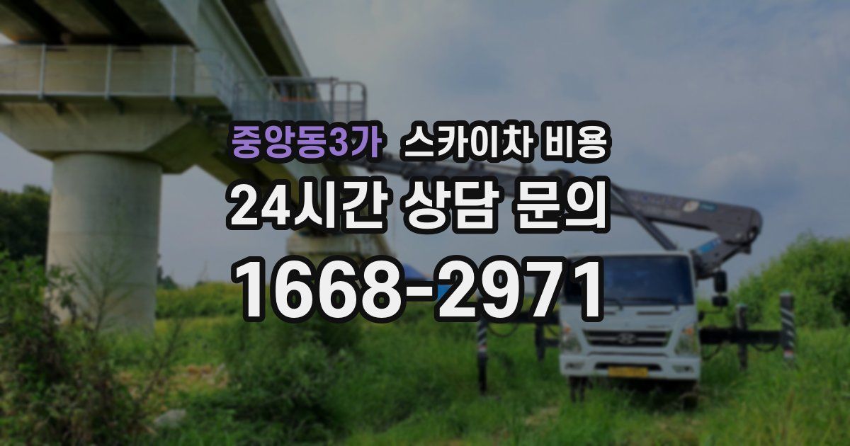 중앙동3가 스카이차 비용