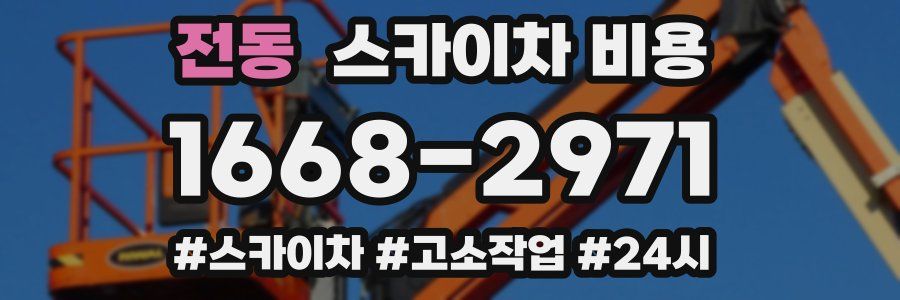 전동 스카이차 비용